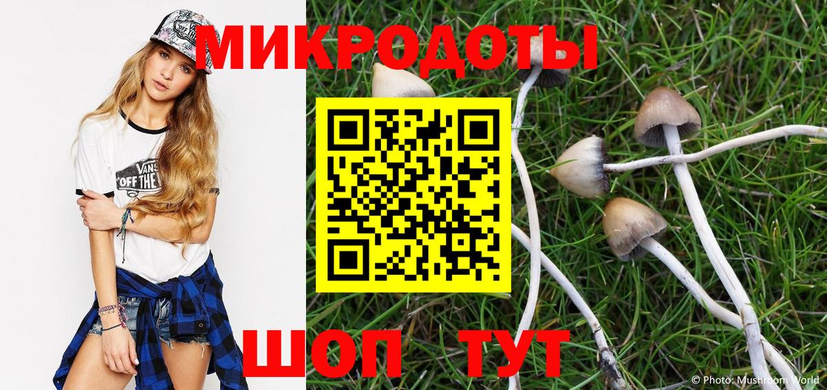Псилоцибиновые грибы мицелий Ухта