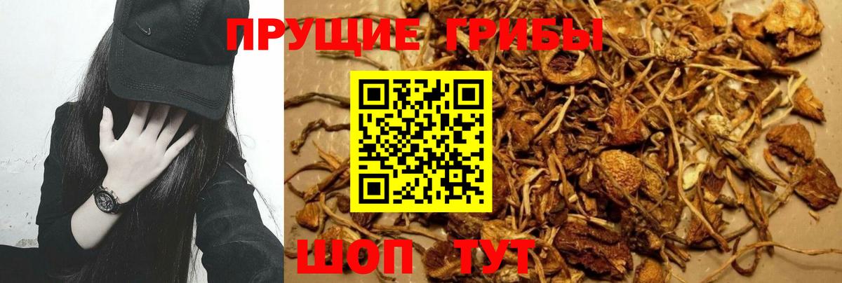Псилоцибиновые грибы мицелий  купить   Ухта  Вход с VPN 